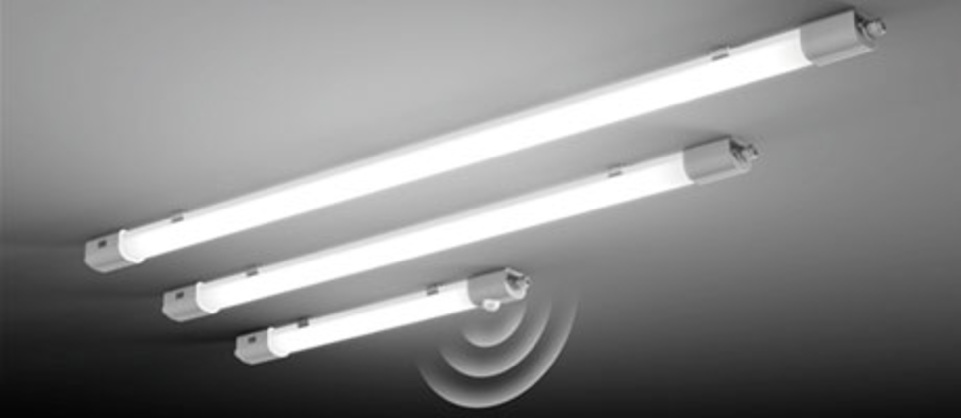 Planox Feuchtraumleuchten bei Lindner Elektro in Torgau
