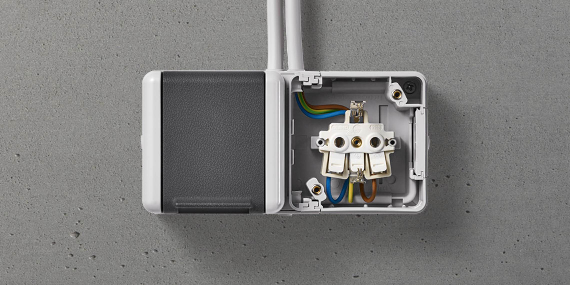 Doppelsteckdose mit Trennsteg bei Lindner Elektro in Torgau